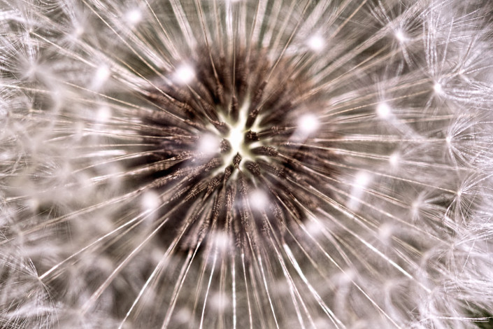 MAKRO / MACRO