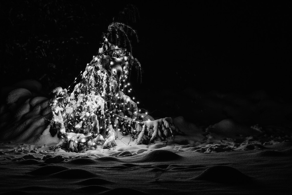 nächtliche winterlichter