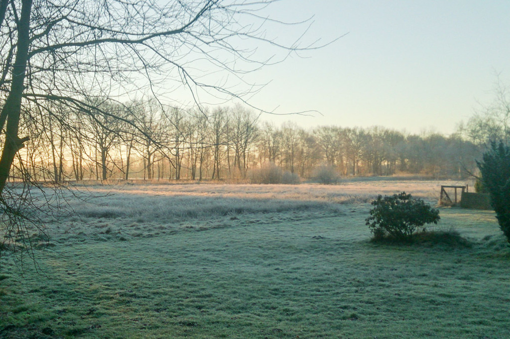 eiskalter morgen