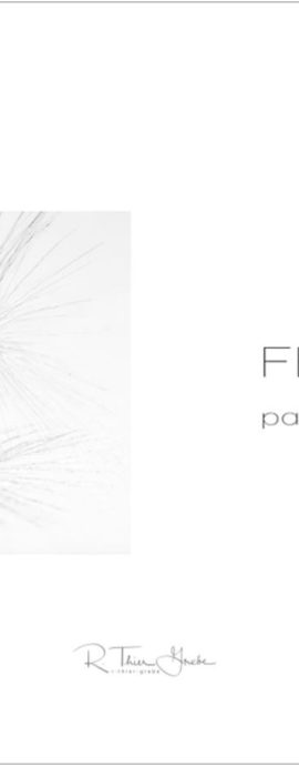 FEIN – klein